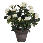 Planta Artificial - Rosal Blanco - MICA